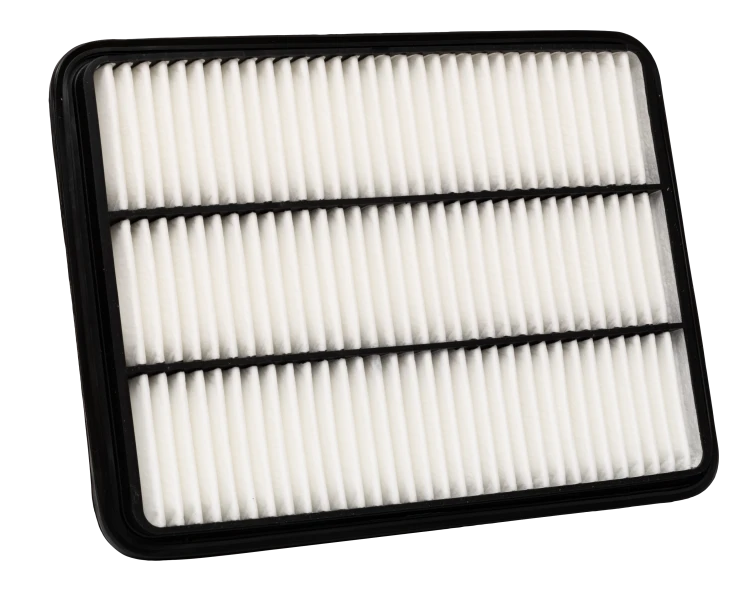 AdobeStock_1122237716.png